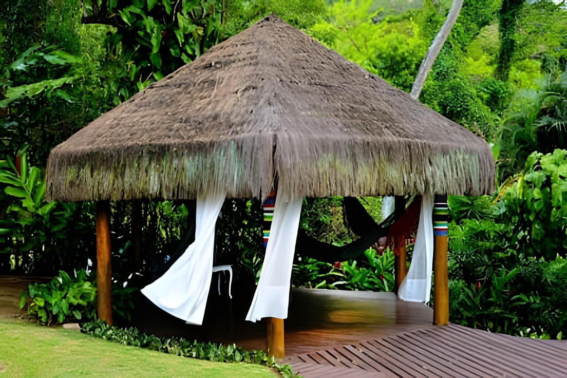 Rocha * Ilhabela